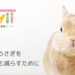 LoviTプロジェクトイメージ画像